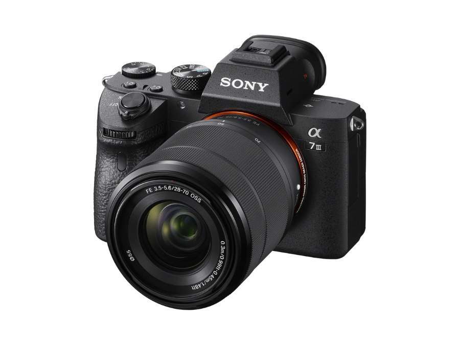 Which Camera Is Best for Low Light 6